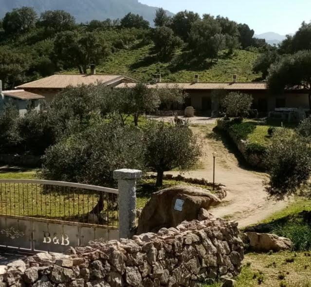 B&B Sa Mendula 奥列纳 外观 照片
